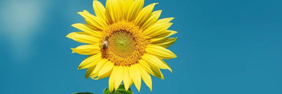 Welcome to BIIBII.CN